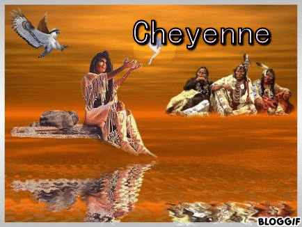 POUR CHEYENNE